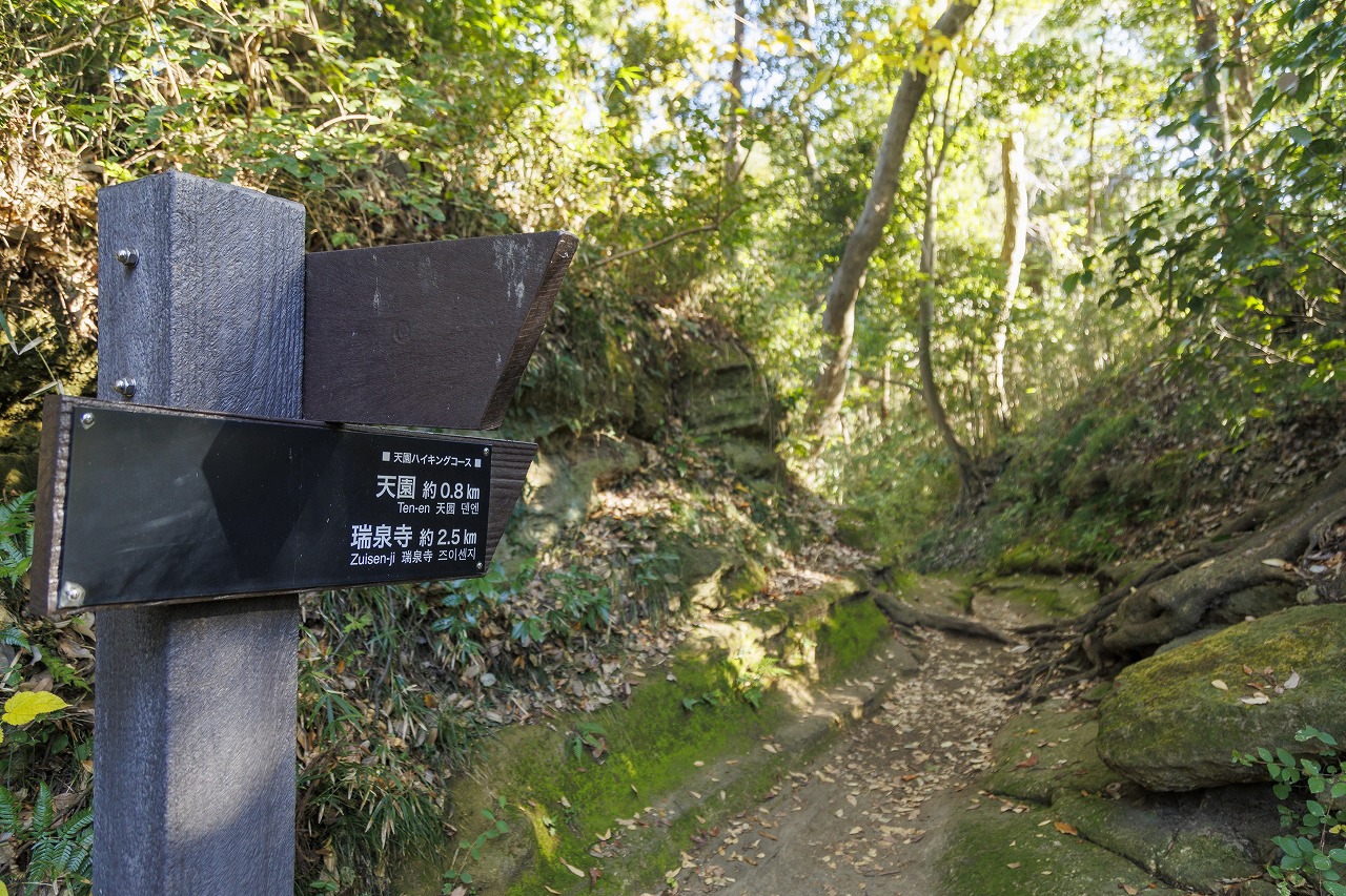 ハイキングコース