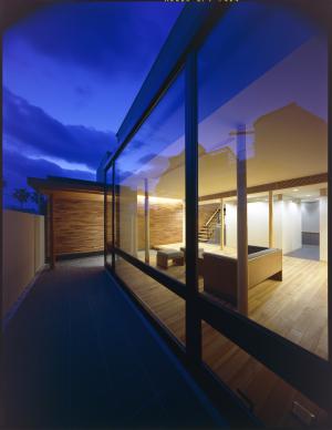 小坪海岸 凛花《逗子市》