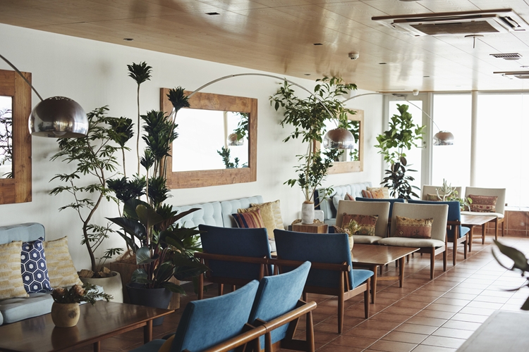 アマンダンブルー鎌倉