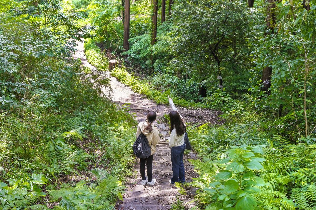 混雑を避けて、涼しく爽快！北鎌倉～長谷の3kmハイキング