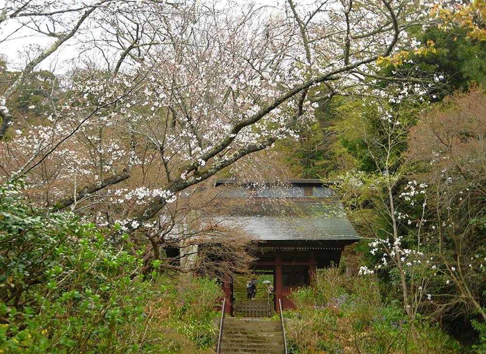 妙法寺（苔寺）