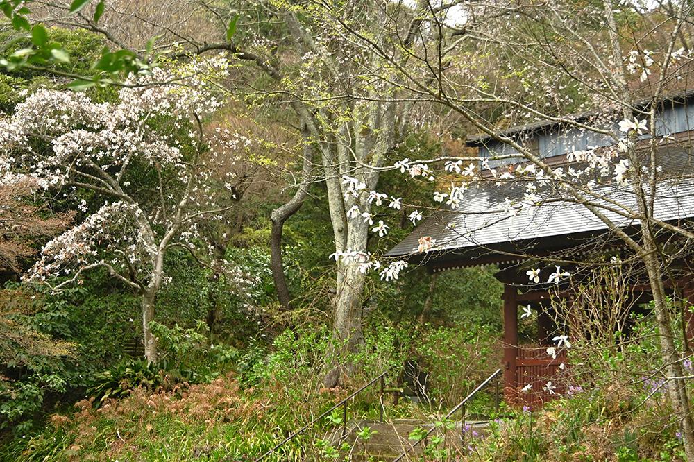 妙法寺（苔寺）