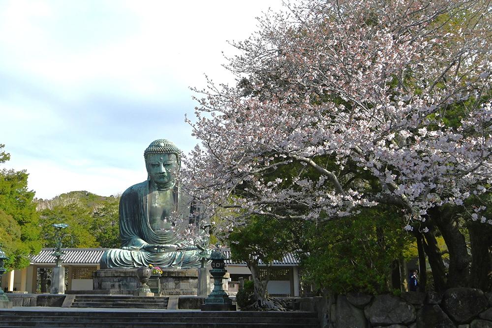 高徳院（鎌倉大仏殿）