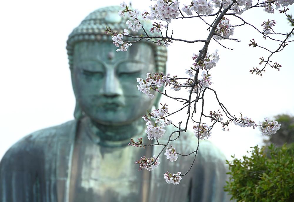 高徳院（鎌倉大仏殿）