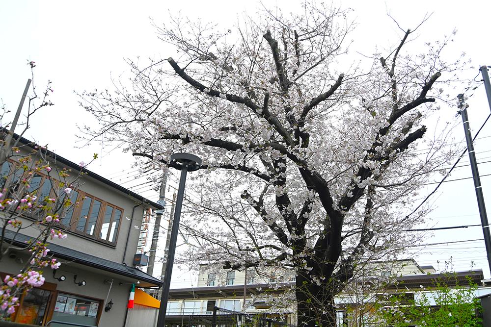 鎌倉駅西口の時計台広場