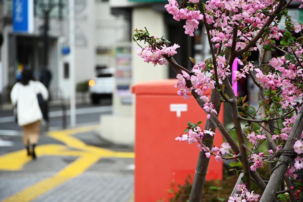 鎌倉駅西口の時計台広場
