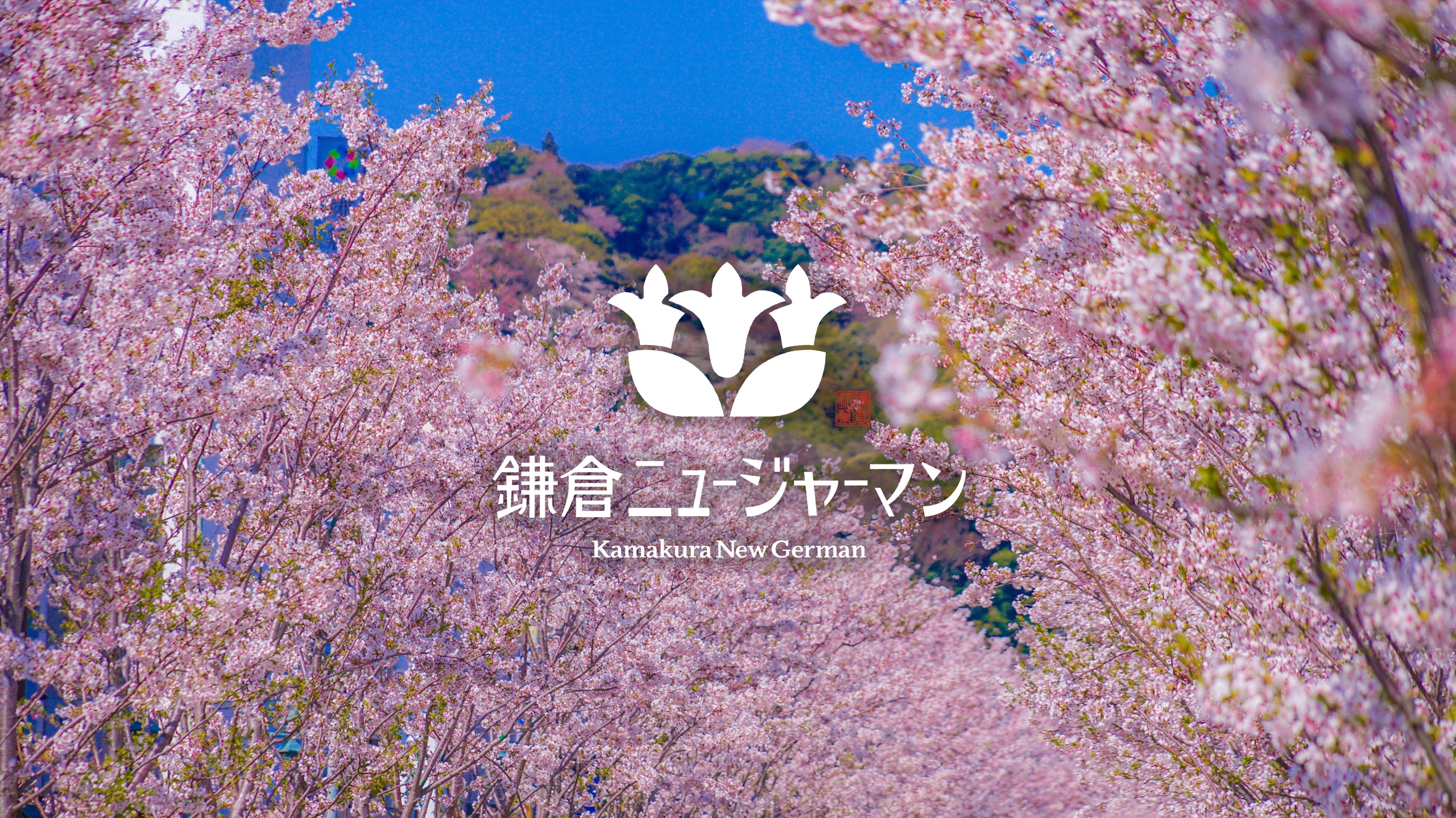 《春の新商品入荷》鎌倉ニュージャーマンで楽しむ季節限定“ふわとろスイーツ”♪本店カフェ限定のメニューも！