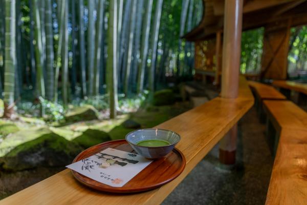 こころ整う非日常の世界で～3つの緑の魅力とは～［報国寺］
