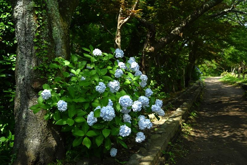 源氏山公園