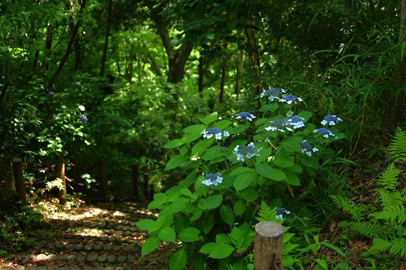 源氏山公園