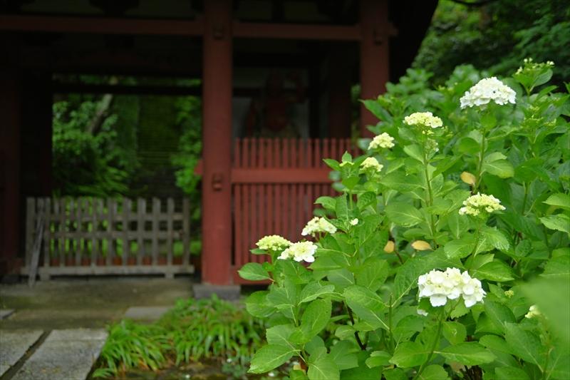 妙法寺（苔寺）