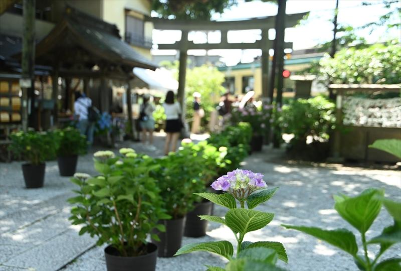 御霊神社
