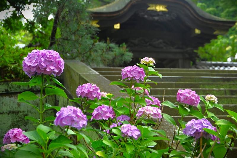 円覚寺