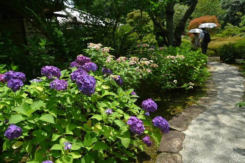 長寿寺