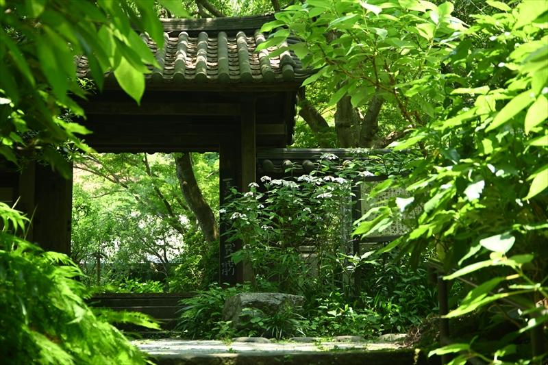 瑞泉寺