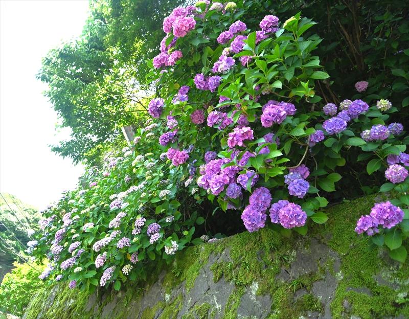 通玄橋付近