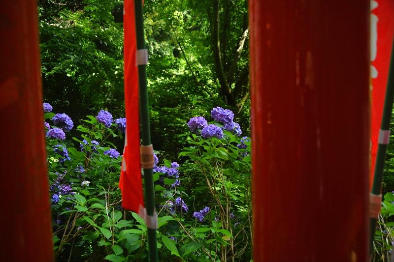 佐助稲荷神社