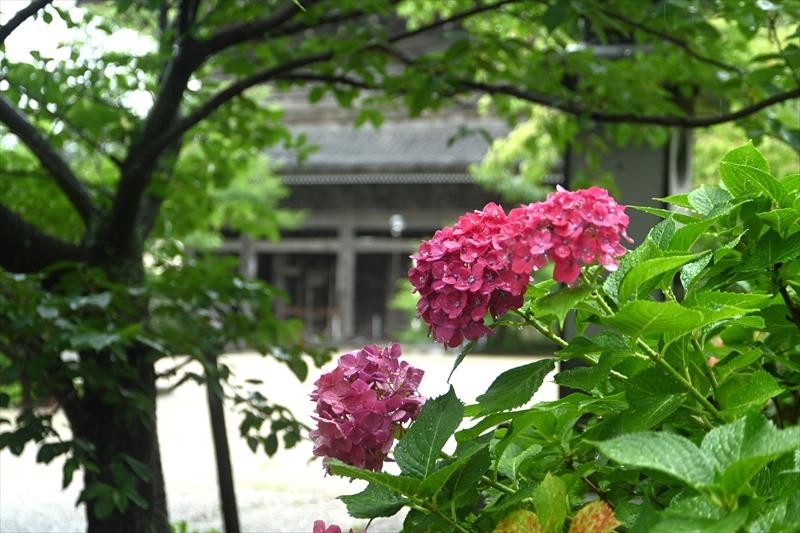 光明寺