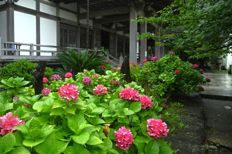 光明寺