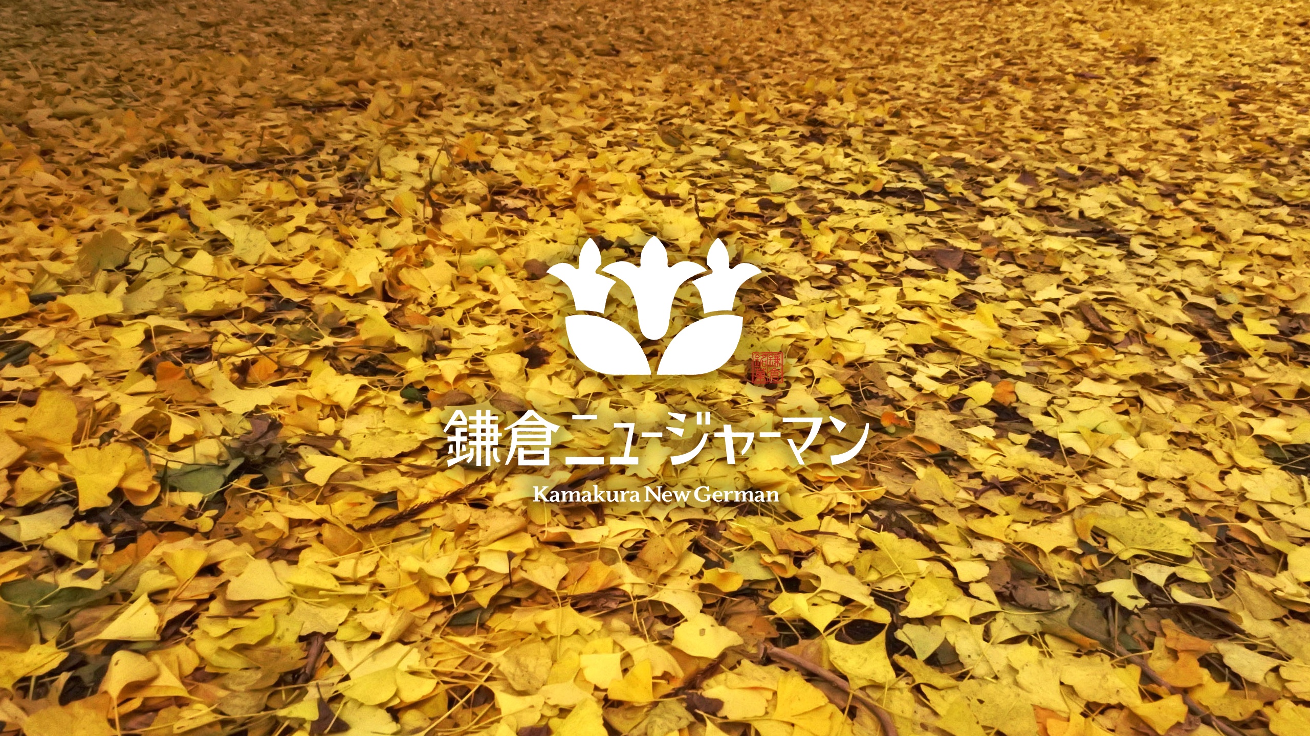 《秋の新商品入荷》鎌倉ニュージャーマンで楽しむ季節限定“ふわとろスイーツ”♪本店カフェ限定のメニューも！