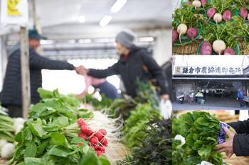 ＼旅のおすすめ／