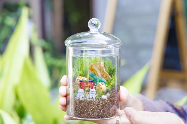 ガラスの中に小さな世界を作る苔テラリウム。鎌倉の古民家で作って、愛でて、育てて…苔に癒やされる