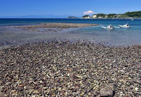 「ひとのときを、想う。JT」