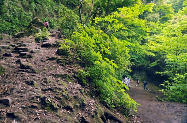 VOL.1　ときを旅する「鎌倉切通し」編