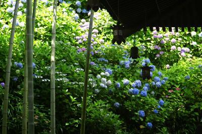 2025年6月26日現在​