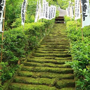 スケジュール