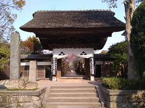 極楽寺 仏生会（極楽寺）