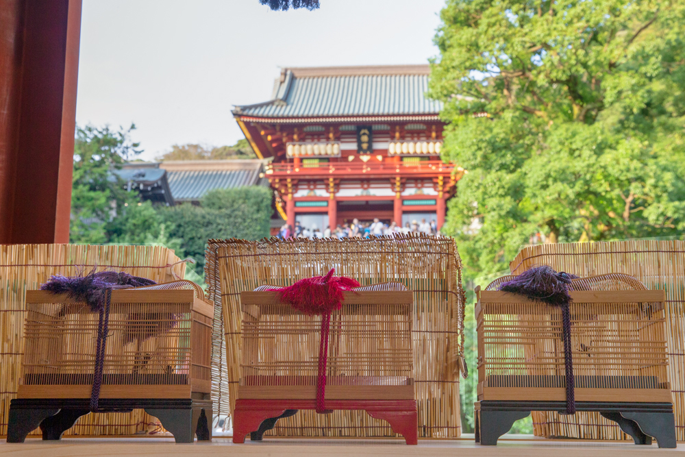 例大祭:10時00分~ 神幸祭:13時00分~