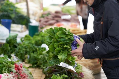 鎌倉市農協連即売所（レンバイ）