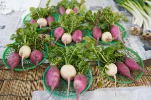 鎌倉市農協連即売所（レンバイ）