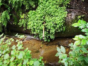 ​梶原太刀洗水