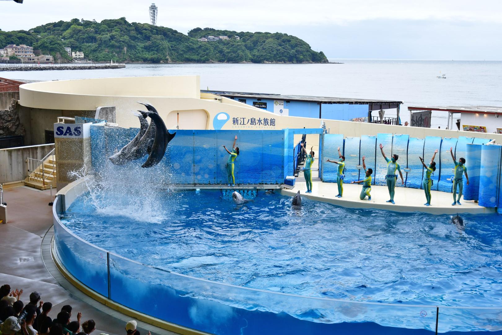 新江ノ島水族館《藤沢市》