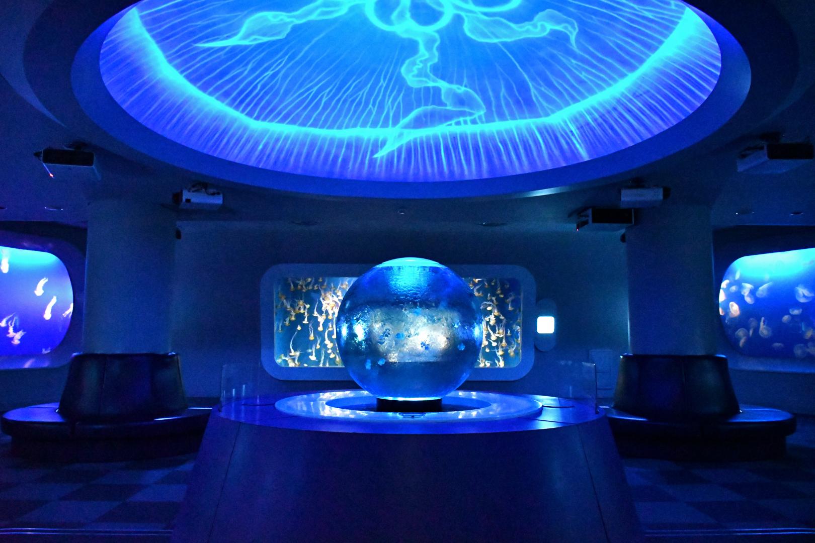 新江ノ島水族館《藤沢市》