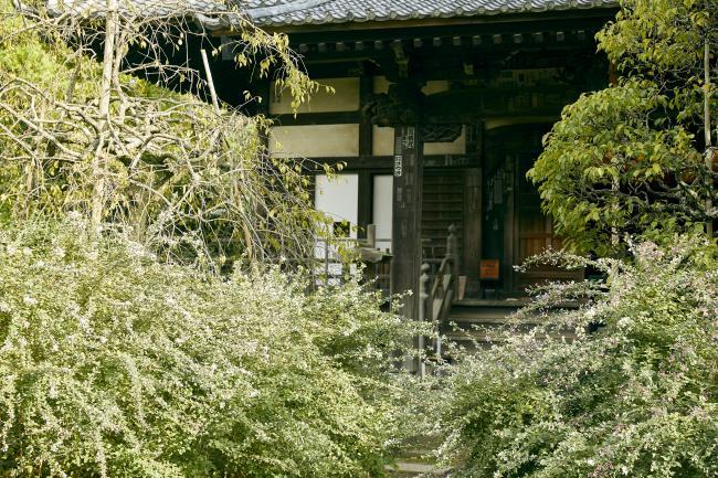 宝戒寺（はぎ寺）