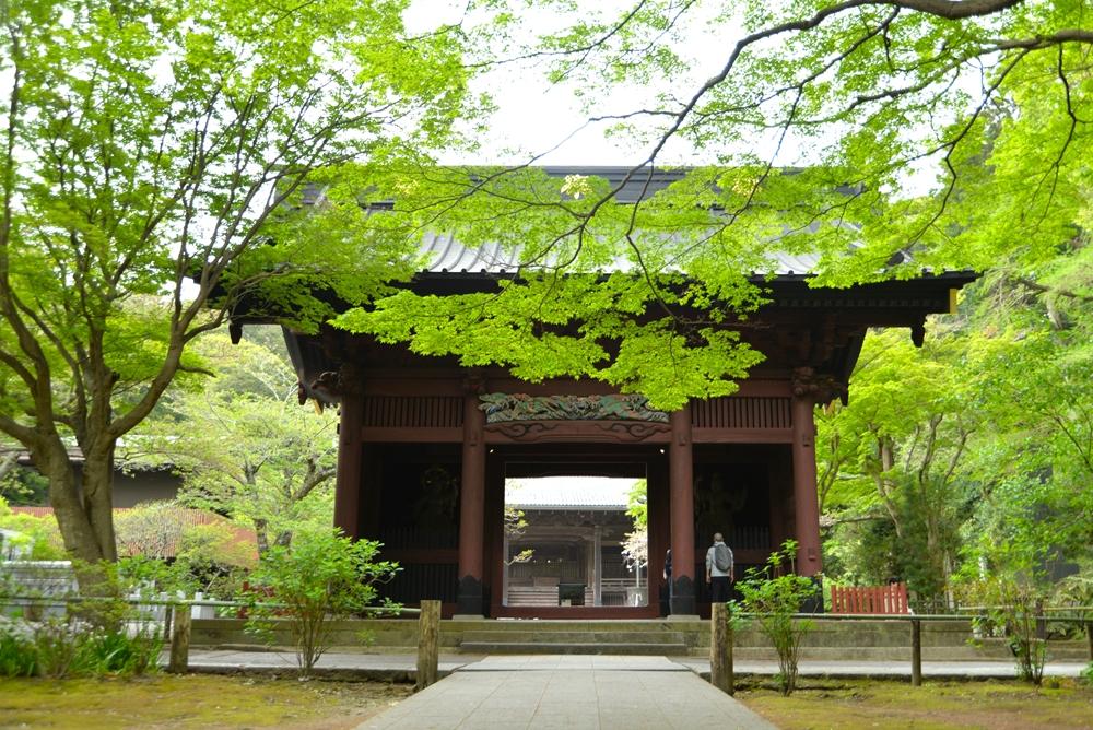 妙本寺