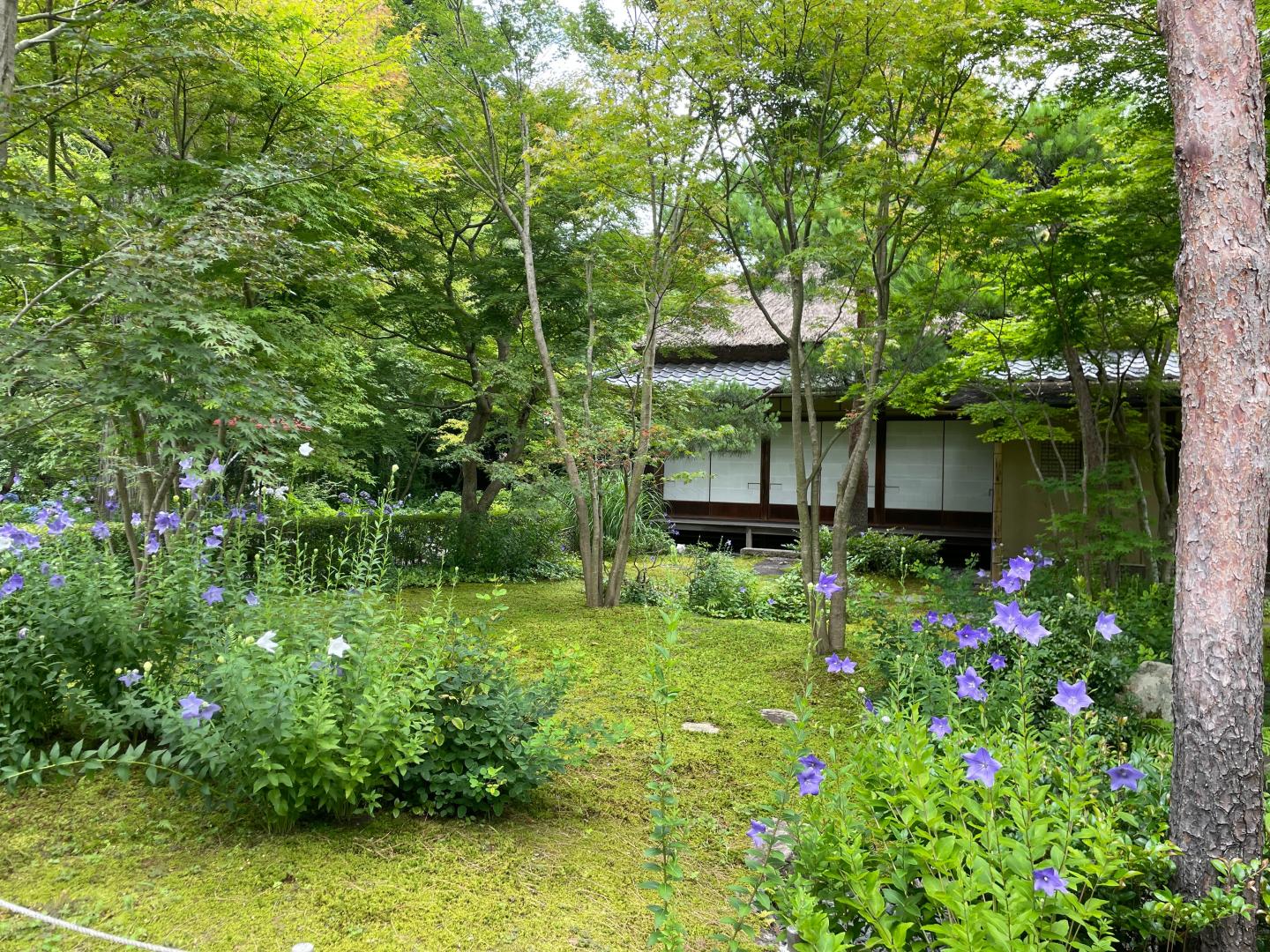 一条恵観山荘