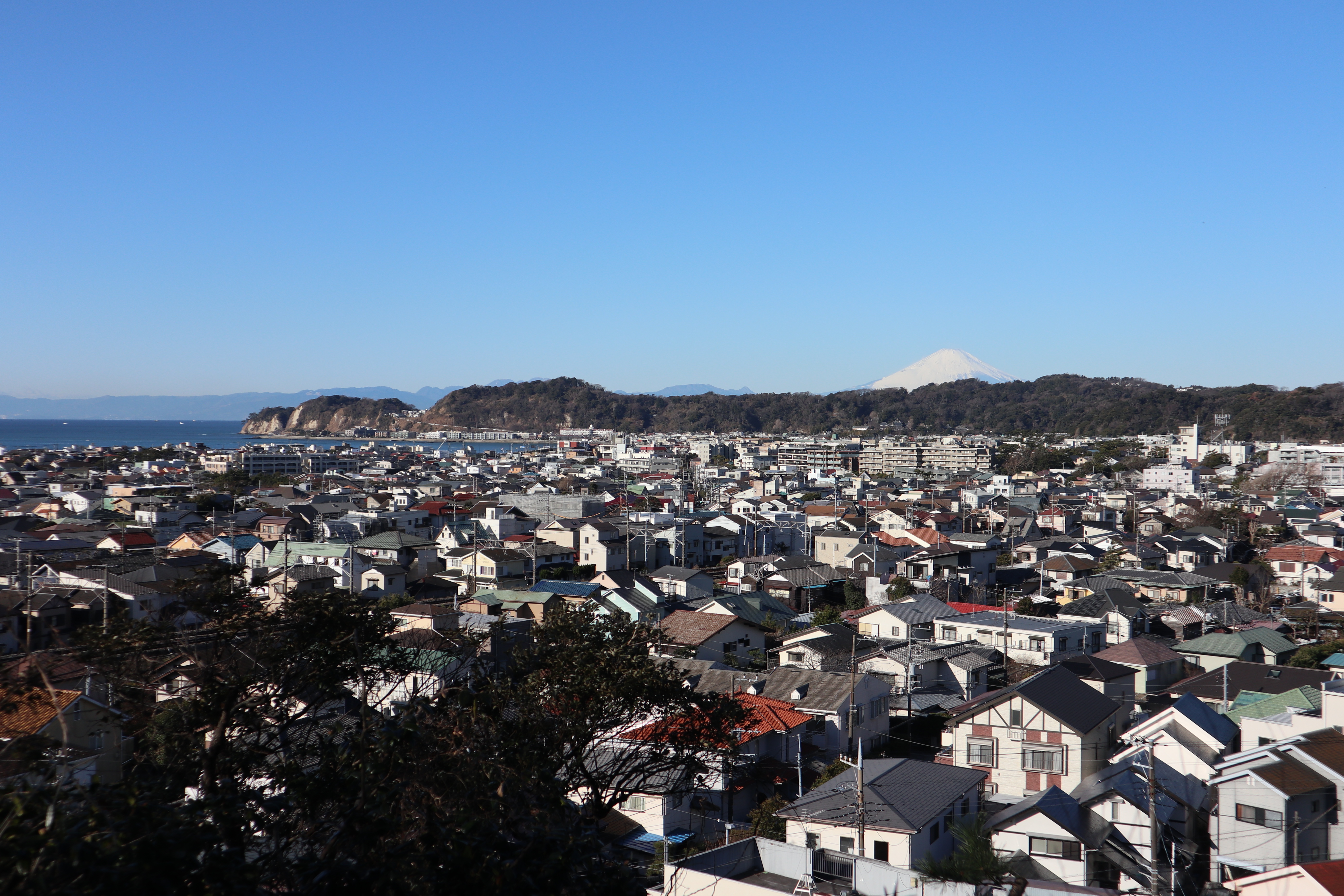 『海街×富士山』安国論寺の秘境に立つ