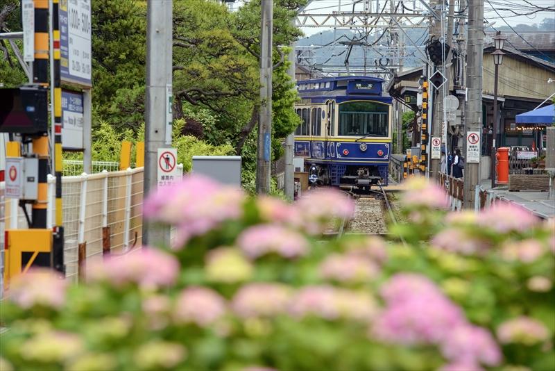 5月・6月 『紫陽花をかすめて走る』