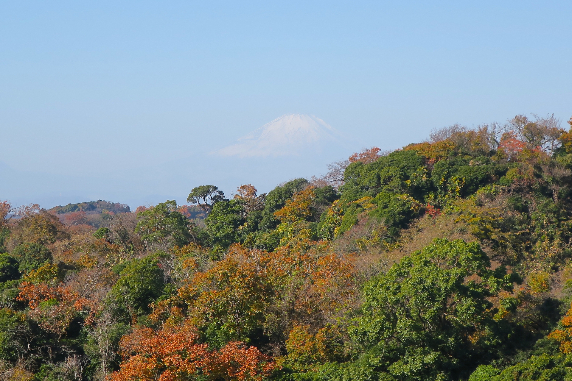 ハイキング・モデルコース
