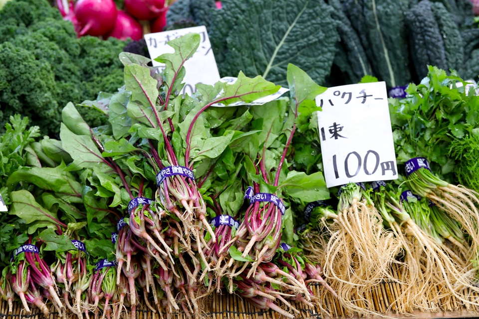 鎌倉市農協連即売所（鎌倉駅周辺）