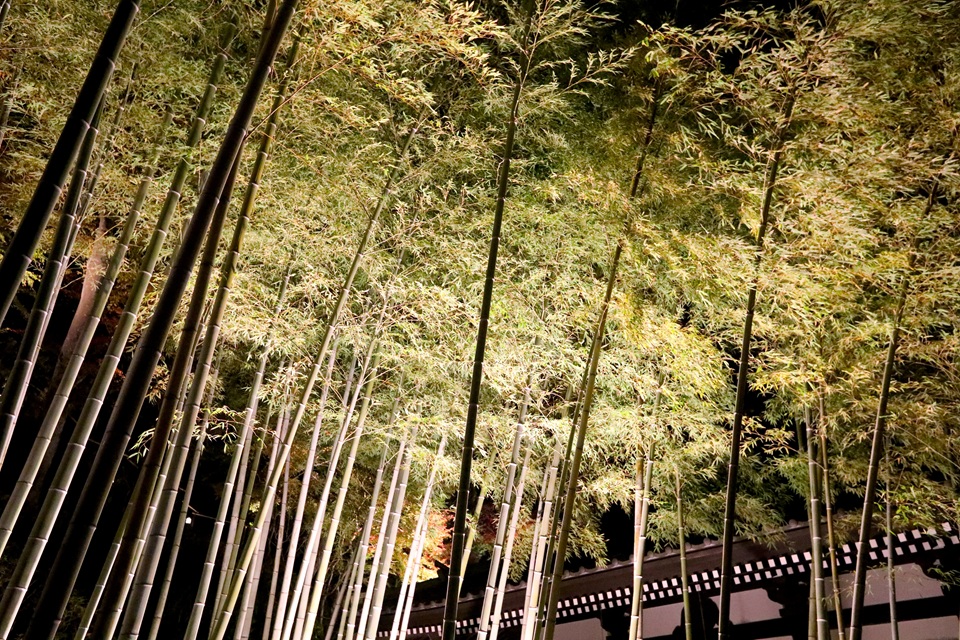 長谷寺（長谷）