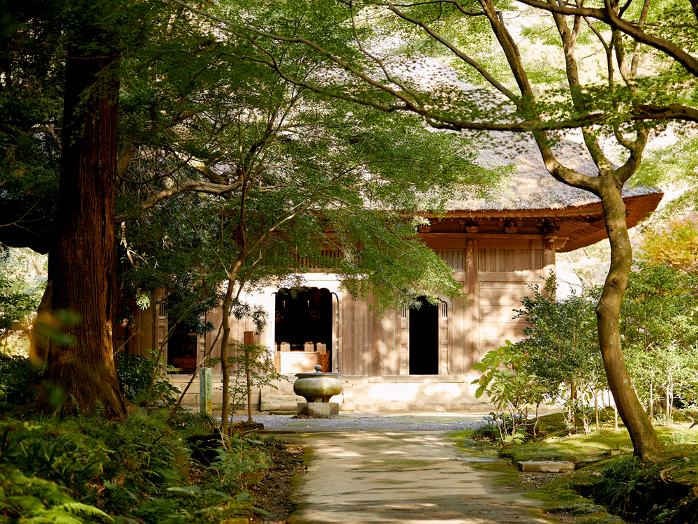 鎌倉市二階堂421