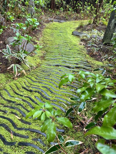 春のおとずれ～苔と新緑と新芽と～