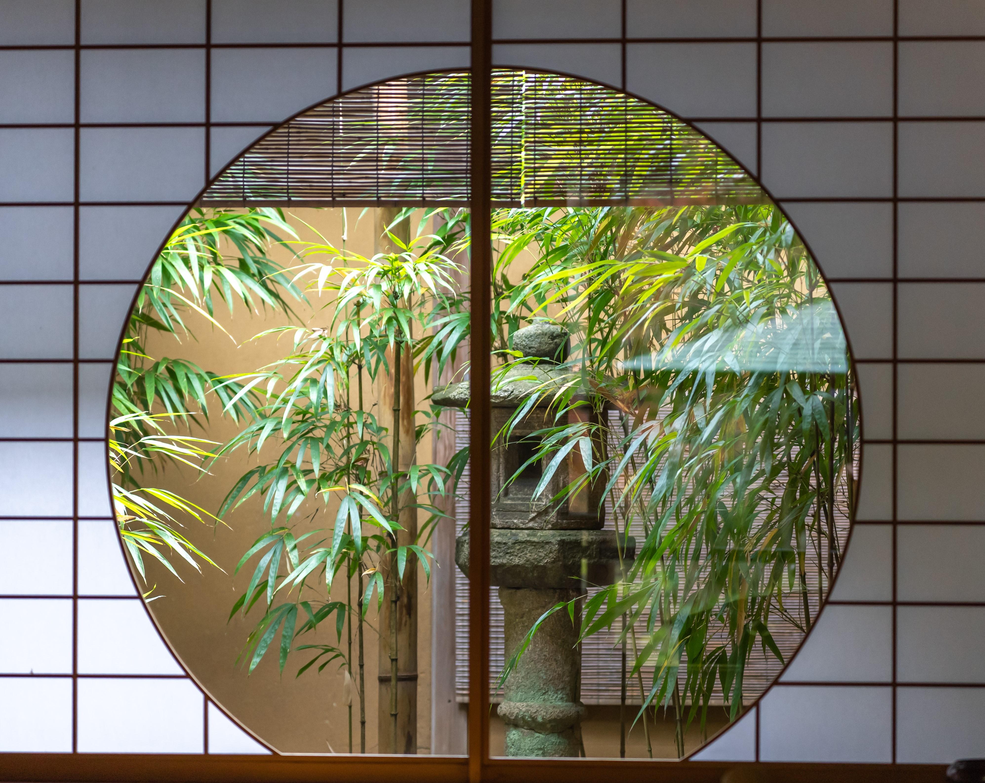 春のおとずれ～苔と新緑と新芽と～