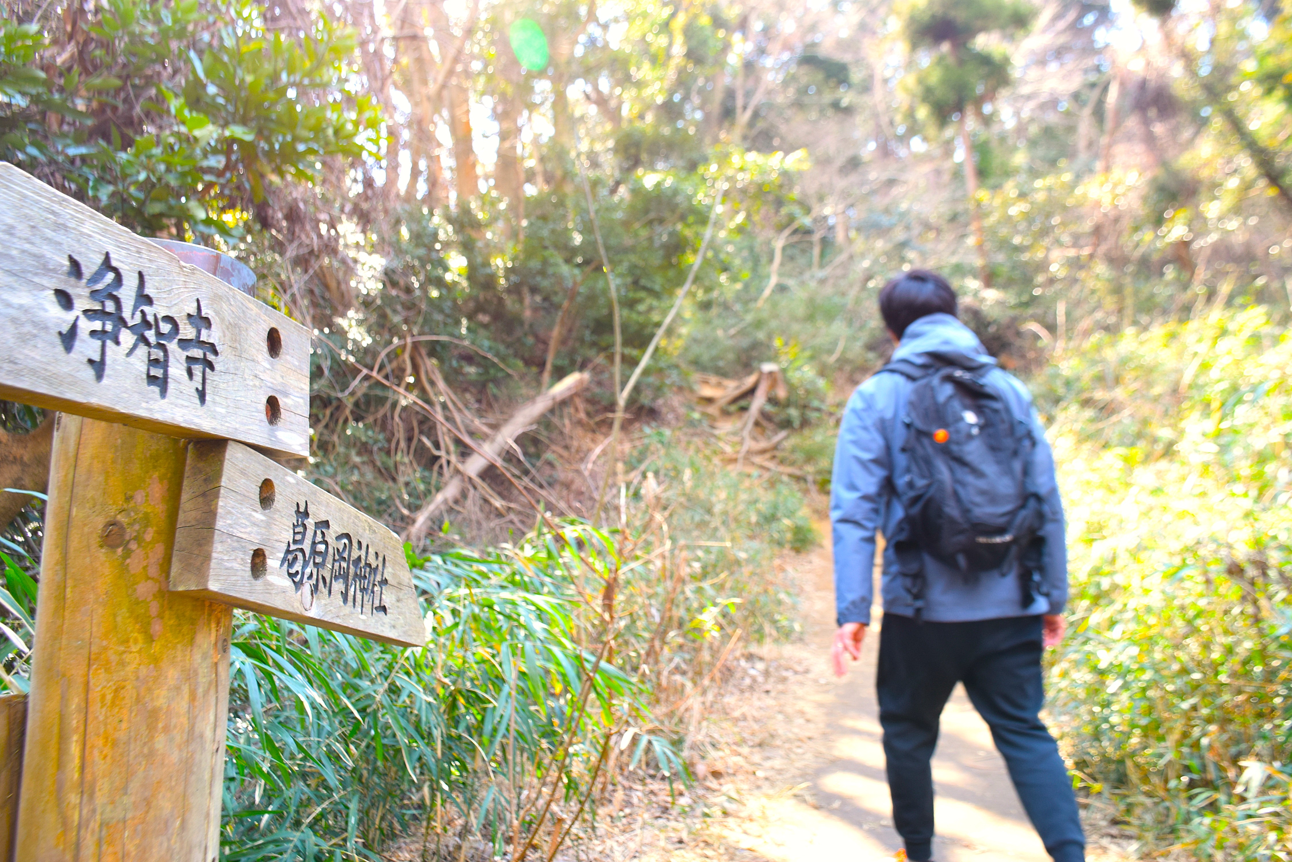 葛原岡・大仏ハイキングコース