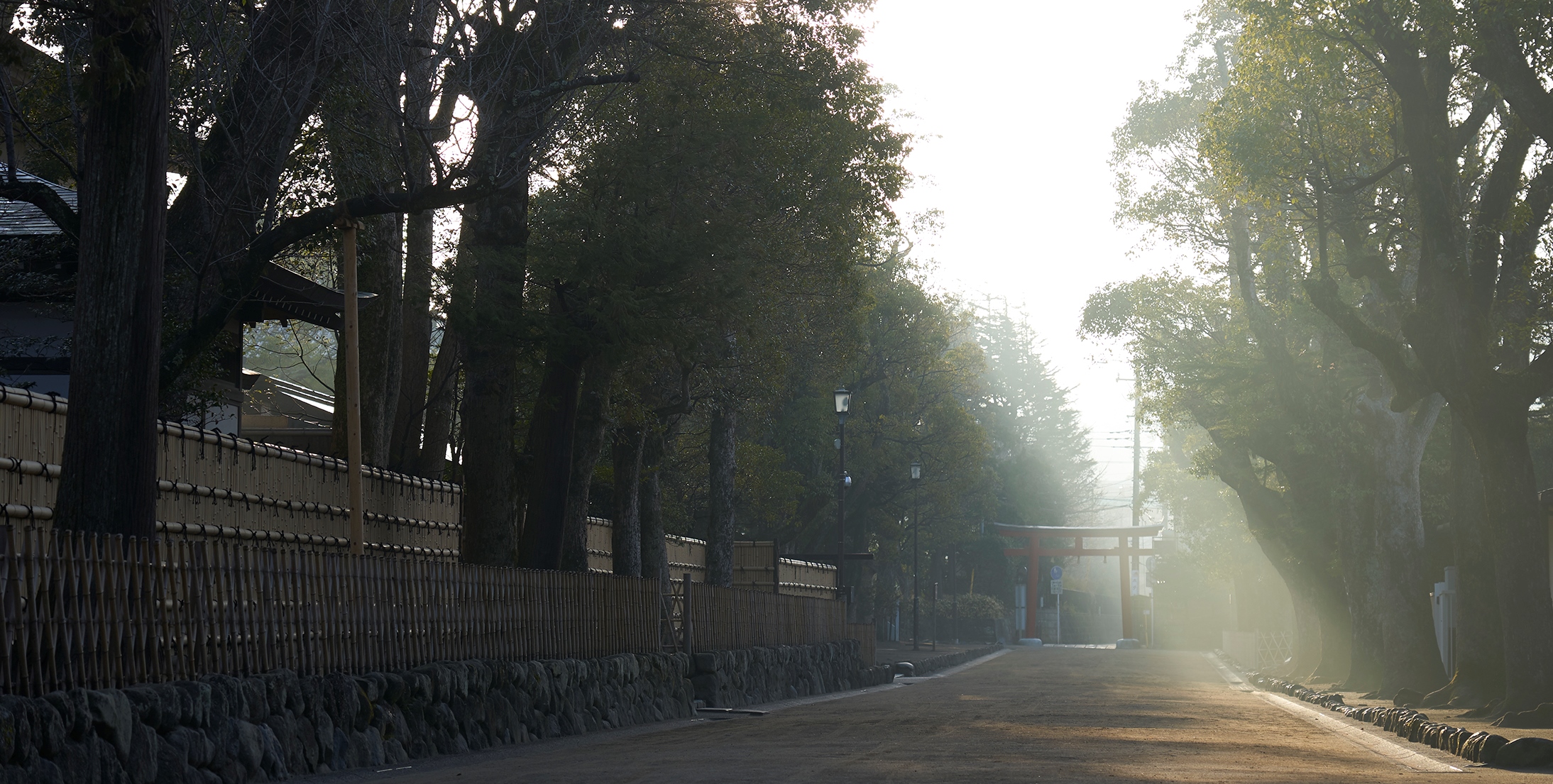 鶴岡八幡宮へ朝まいり。静けさに心が洗われる